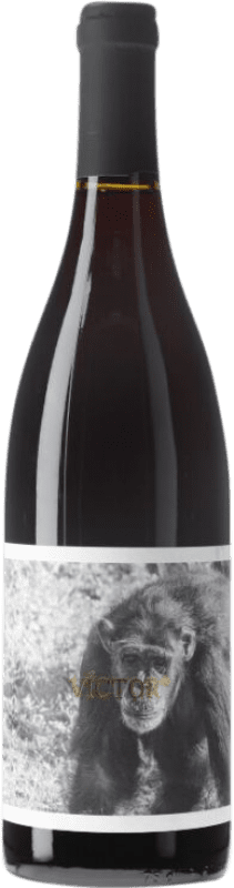12,95 € Free Shipping | Red wine La Vinyeta Els Monos Víctor Negre D.O. Empordà Catalonia Spain Bottle 75 cl