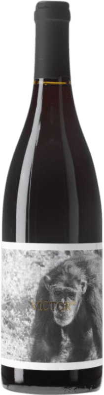 9,95 € Envoi gratuit | Vin Rouge La Vinyeta Els Monos Víctor D.O. Empordà Catalogne Espagne Bouteille 75 cl