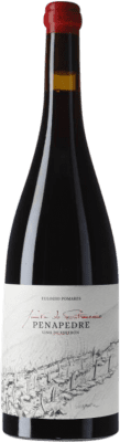 38,95 € Envoi gratuit | Vin rouge Fento O Estranxeiro Finca Penapedre D.O. Ribeira Sacra Galice Espagne Grenache, Mencía Bouteille 75 cl