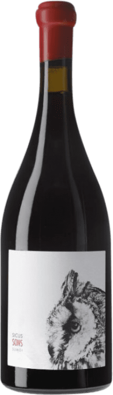 49,95 € Free Shipping | Red wine Sicus Sons D.O. Penedès Catalonia Spain Sumoll Bottle 75 cl