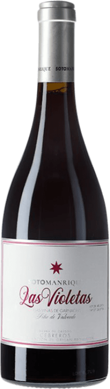 17,95 € Envío gratis | Vino tinto Soto y Manrique Las Violetas D.O.P. Cebreros Castilla la Mancha España Botella 75 cl
