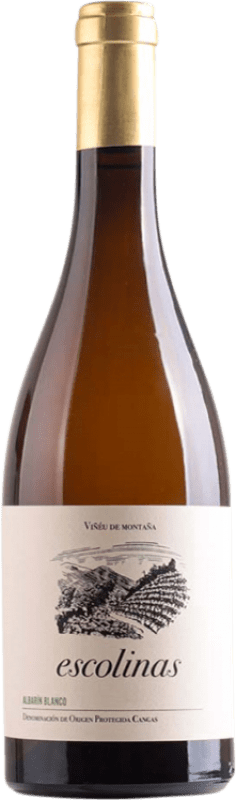 15,95 € Envío gratis | Vino Blanco Escolinas Roble D.O.P. Vino de Calidad de Cangas Principado de Asturias España Albarín 75 cl