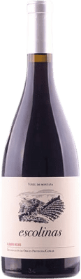 29,95 € Free Shipping | Red wine Escolinas D.O.P. Vino de Calidad de Cangas Principality of Asturias Spain Albarín Black Bottle 75 cl
