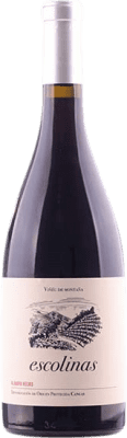 19,95 € Envio grátis | Vinho Tinto Escolinas D.O.P. Vino de Calidad de Cangas Principado das Astúrias Espanha Albarín 75 cl
