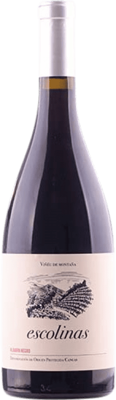 19,95 € Envío gratis | Vino Tinto Escolinas D.O.P. Vino de Calidad de Cangas Principado de Asturias España Albarín 75 cl