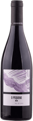 45,95 € Envoi gratuit | Vin rouge Viña Meín O Pequeño Mein Tinto D.O. Ribeiro Galice Espagne Caíño Noir, Brancellao Bouteille 75 cl