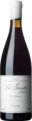 42,95 € 免费送货 | 红酒 Envínate La Santa de Úrsula D.O. Tacoronte-Acentejo 加那利群岛 西班牙 Listán Black, Listán White, Negramoll 瓶子 75 cl