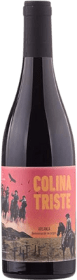 19,95 € 送料無料 | 赤ワイン Vinos Sinceros Colina Triste D.O. Arlanza カスティーリャ・イ・レオン スペイン Tempranillo — テンプラニーリョ, Garnacha — グルナッシュ, Mencía — メンシア, Cariñena — カリニャン 75 cl