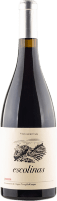 29,95 € Envío gratis | Vino tinto Escolinas D.O.P. Vino de Calidad de Cangas Principado de Asturias España Carrasquín Botella 75 cl