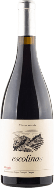 29,95 € Envoi gratuit | Vin rouge Escolinas D.O.P. Vino de Calidad de Cangas Principauté des Asturies Espagne Carrasquín Bouteille 75 cl