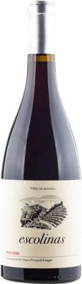 22,95 € Spedizione Gratuita | Vino rosso Escolinas D.O.P. Vino de Calidad de Cangas Principato delle Asturie Spagna Verdejo Nero Bottiglia 75 cl