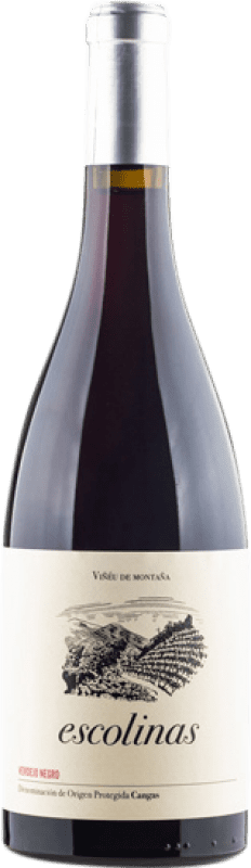 28,95 € 免费送货 | 红酒 Escolinas D.O.P. Vino de Calidad de Cangas 阿斯图里亚斯公国 西班牙 Verdejo Black 瓶子 75 cl