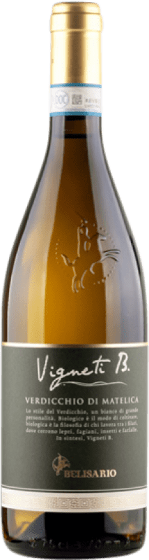 17,95 € Free Shipping | White wine Cantine Belisario Vigneti B D.O.C. Verdicchio di Matelica Marche Italy Verdicchio Bottle 75 cl