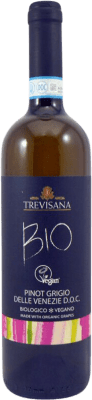 14,95 € 免费送货 | 白酒 Rinomata Cantina Tombacco Trevisana Biológico I.G.T. Treviso 特雷维索 意大利 Pinot Grey 瓶子 75 cl