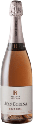 12,95 € 送料無料 | ロゼのスパークリングワイン Mas Codina Brut — ブリュット Rosé — ロゼ レセルバ D.O. Cava スペイン Pinot Noir — ピノ・ノワール 75 cl