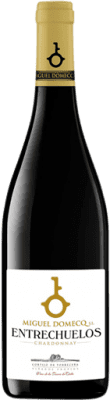 5,95 € Envío gratis | Vino blanco Entrechuelos Joven I.G.P. Vino de la Tierra de Cádiz Andalucía España Chardonnay Botella 75 cl