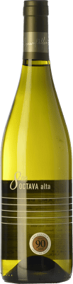 22,95 € 免费送货 | 白酒 Abremundos Octava Alta Blanc de Blancs 岁 I.G. Valle de Uco Uco谷 阿根廷 Torrontés, Chardonnay 瓶子 75 cl