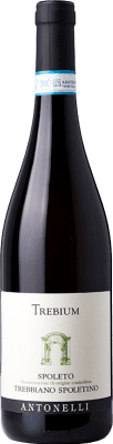 14,95 € Free Shipping | White wine Antonelli San Marco Spoletino Trebium I.G.T. Umbria Umbria Italy Trebbiano Bottle 75 cl
