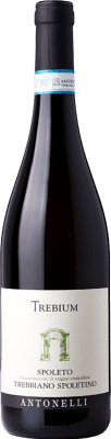 16,95 € Бесплатная доставка | Белое вино Antonelli San Marco Spoletino Trebium I.G.T. Umbria Umbria Италия Trebbiano Органический бутылка 75 cl