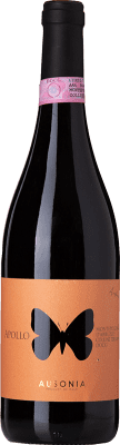 24,95 € Envoi gratuit | Vin Rouge Ausonia Apollo Colline Teramane Ánfora — Amphore D.O.C. Montepulciano d'Abruzzo Abruzzes Italie Montepulciano 75 cl