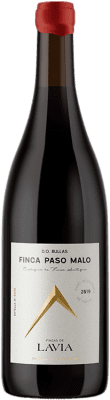 33,95 € Free Shipping | Red wine Lavia Finca Paso Malo Aged D.O. Bullas Spain Monastrell Bottle 75 cl