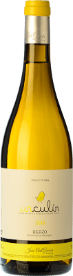 19,95 € Envio grátis | Vinho branco JAG Viticultor Unculín Blanco D.O. Bierzo Castela e Leão Espanha Godello Garrafa 75 cl