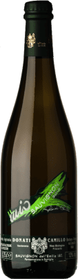 Camillo Donati Sauvignon Frizzante — Perlwein 75 cl