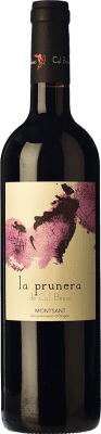 21,95 € Бесплатная доставка | Красное вино Cal Bessó La Prunera старения D.O. Montsant Каталония Испания Carignan, Grenache Hairy бутылка 75 cl