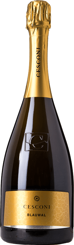 29,95 € Spedizione Gratuita | Spumante bianco Cesconi Blauwal Brut Extra D.O.C. Trento Trentino-Alto Adige Italia Chardonnay Bottiglia 75 cl