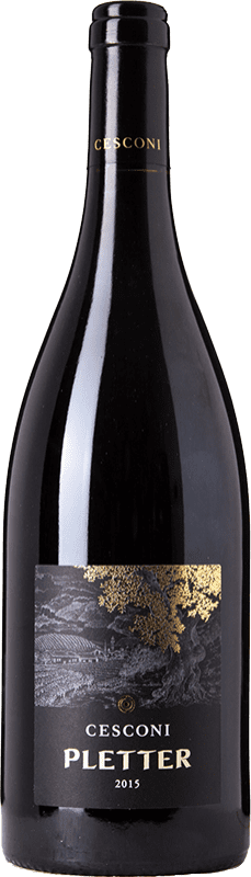 24,95 € Бесплатная доставка | Красное вино Cesconi Pletter I.G.T. Vigneti delle Dolomiti Трентино-Альто-Адидже Италия Lagrein бутылка 75 cl