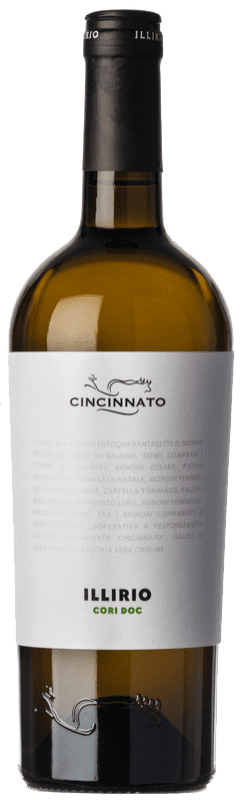 10,95 € 免费送货 | 白葡萄酒 Cincinnato Illirio D.O.C. Cori 拉齐奥 意大利 Malvasia — 玛尔瓦西亚, Greco — 格雷科 75 cl