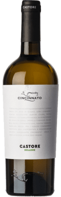 8,95 € Envio grátis | Vinho branco Cincinnato Bellone Castore I.G.T. Lazio Lácio Itália Garrafa 75 cl