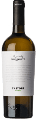 8,95 € Spedizione Gratuita | Vino bianco Cincinnato Bellone Castore I.G.T. Lazio Lazio Italia Bottiglia 75 cl