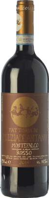 18,95 € Kostenloser Versand | Rotwein Colleallodole Rosso D.O.C. Montefalco Umbrien Italien Merlot, Sangiovese, Sagrantino Flasche 75 cl