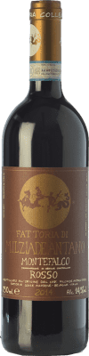 18,95 € Envoi gratuit | Vin Rouge Colleallodole D.O.C. Montefalco Ombrie Italie Merlot, Sangiovese, Sagrantino 75 cl