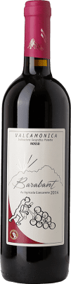 15,95 € Envío gratis | Vino tinto Concarena Barabant I.G.T. Valcamonica Lombardia Italia Merlot, Marzemino Botella 75 cl
