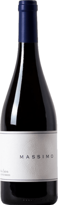 19,95 € Free Shipping | Red Wine Atlantic Galician Massimo Young D.O. Ribeira Sacra Galicia Spain Tempranillo, Mencía, Sousón — Sousão Bottle 75 cl