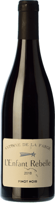 12,95 € Envoi gratuit | Vin rouge Antoine de la Farge L'Enfant Rebelle Rouge Jeune France Pinot Noir Bouteille 75 cl