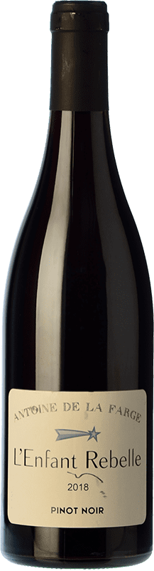 13,95 € Free Shipping | Red wine Antoine de la Farge L'Enfant Rebelle Rouge Young France Pinot Black Bottle 75 cl