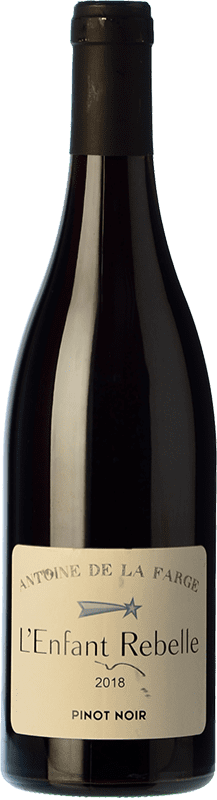 12,95 € Kostenloser Versand | Rotwein Antoine de la Farge L'Enfant Rebelle Rouge Jung Frankreich Pinot Schwarz Flasche 75 cl