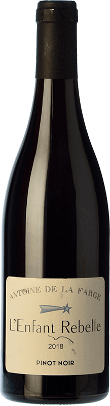 13,95 € Spedizione Gratuita | Vino rosso Antoine de la Farge L'Enfant Rebelle Rouge Giovane Francia Pinot Nero Bottiglia 75 cl