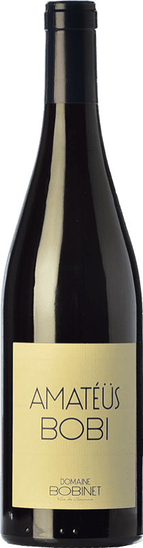 22,95 € 送料無料 | 赤ワイン Bobinet Amatéüs Bobi 高齢者 A.O.C. Saumur-Champigny ロワール フランス Cabernet Franc ボトル 75 cl