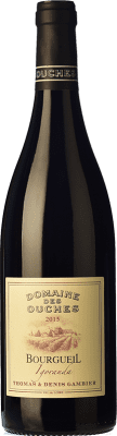 Domaine des Ouches Igoranda Cabernet Franc Cuvée Crianza 75 cl