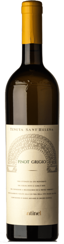 17,95 € Envoi gratuit | Vin Blanc Fantinel Sant'Helena D.O.C. Collio Frioul-Vénétie Julienne Italie Pinot Gris Bouteille 75 cl
