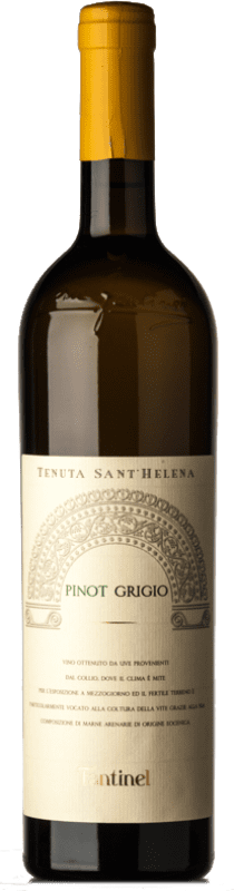 16,95 € Free Shipping | White wine Fantinel Sant'Helena D.O.C. Collio Goriziano-Collio Friuli-Venezia Giulia Italy Pinot Grey Bottle 75 cl