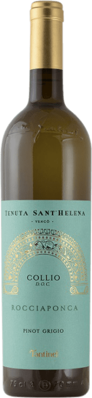 17,95 € 送料無料 | 白ワイン Fantinel Sant'Helena D.O.C. Collio フリウリ - ヴェネツィアジュリア イタリア Pinot Gris — ピノ・グリ 75 cl