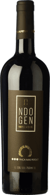 Mas Perdut Endògen Negre Samsó Aged 75 cl