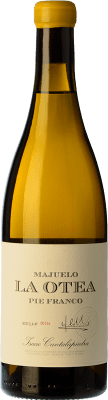 66,95 € Envio grátis | Vinho branco Cantalapiedra Majuelo La Otea Pie Franco Crianza Espanha Verdejo Garrafa 75 cl