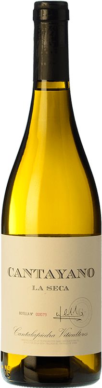 14,95 € 免费送货 | 白酒 Cantalapiedra Cantayano 岁 I.G.P. Vino de la Tierra de Castilla y León 卡斯蒂利亚莱昂 西班牙 Verdejo 瓶子 75 cl