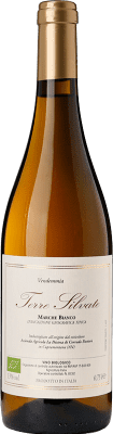 18,95 € Бесплатная доставка | Белое вино La Distesa Terre Silvate I.G.T. Marche Marche Италия Trebbiano, Verdicchio бутылка 75 cl